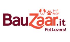 Bauzaar